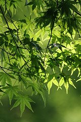 [105403766_9dd3d07d42_m[1].jpg]